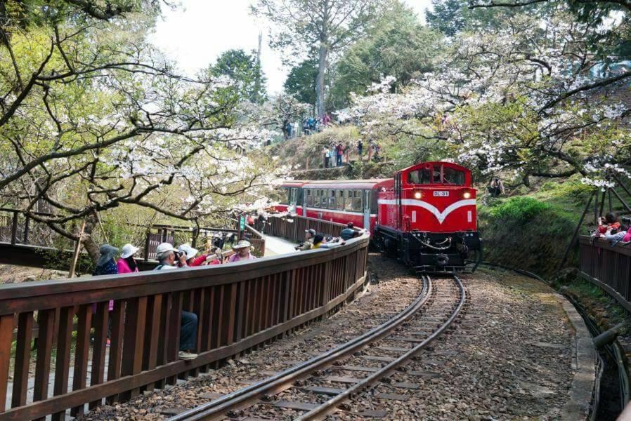 Sanxing Hall Homestay Minxiong エクステリア 写真
